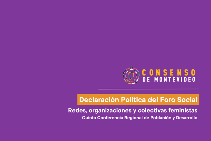 Declaración Política del Foro Social de las Redes, organizaciones y colectivas feministas en la Quinta Conferencia Regional de Población y Desarrollo