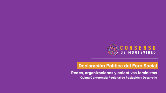 Declaración Política del Foro Social de las Redes, organizaciones y colectivas feministas en la Quinta Conferencia Regional de Población y Desarrollo